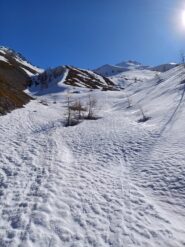 I buta e gava durano poco, sotto all'angolo