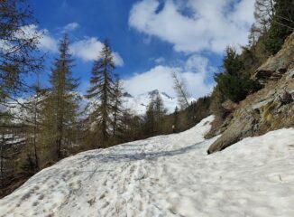 La strada ben innevata, un'ora così, chiacchierando con qualche metti&togli 