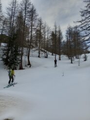 Si sale nel bosco