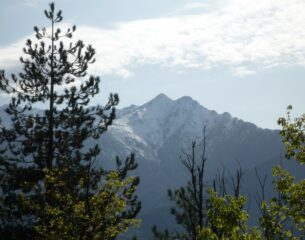 Besimauda dal Monte Rossetto