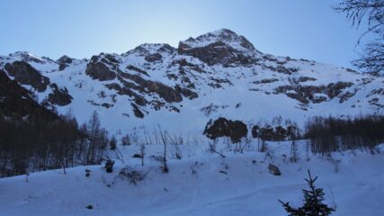 Uscendo dal bosco