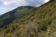 Monte Fossa delle Felci