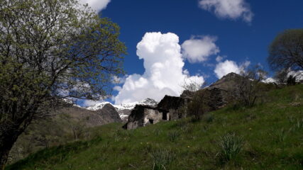 all'alpe Ghet..prima di ripenetrare nella giungla..