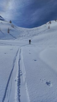 Appena sopra il limite del bosco,  verso il falinere