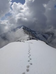 Cresta verso colle crest salendo per punta del Vallone