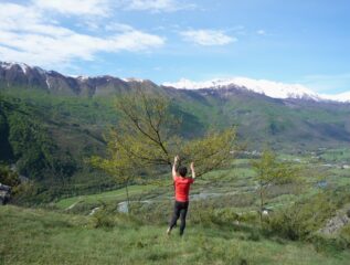 La grande valle e le prime foglie