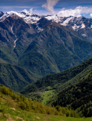 Da destra a sinistra: Punta Rama (bivacco), Cima di Pal, Pta Bordevolo, Monte Giavino. Sotto di noi la valle di Guaria con Grangia. La valletta opposta credo sia quella dei Laghi Canaussa.
Tanto verde quest'anno per fortuna