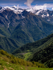 Da destra a sinistra: Punta Rama (bivacco), Cima di Pal, Pta Bordevolo, Monte Giavino. Sotto di noi la valle di Guaria con Grangia. La valletta opposta credo sia quella dei Laghi Canaussa.
Tanto verde quest'anno per fortuna