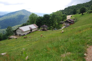 Rifugio Alpe Sacchi