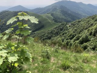 Alpe e Passo del Ranghetto scendendo