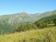 Il Pizzo di Ormea da Cascine