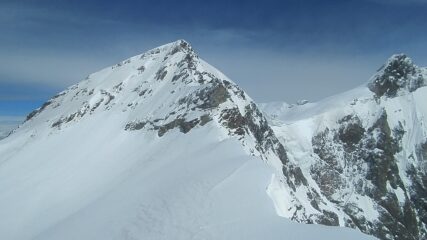 la Vincent dalla Giordani 