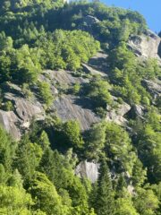 Lo placche superiori ben visibili mentre il lamone è nascosto dagli alberi 