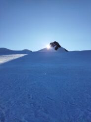 corno nero al rientro con il sole