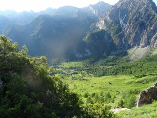 Oltre il bosco