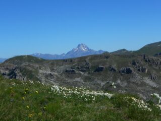 Appare il Monviso