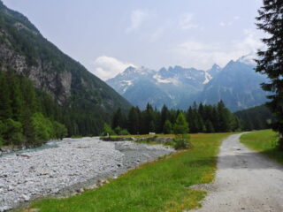 Strada bianca fino al rifugio Branca