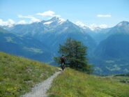 panorama verso la Grivola