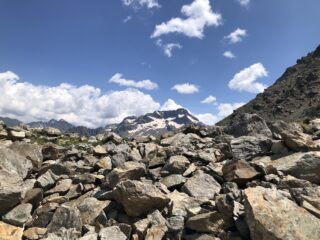 Arrivo al colle con Gelas sullo sfondo