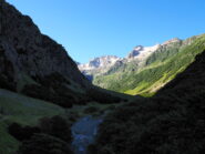 Primo mattino verso la piana del Rasur,sullo sfondo il gruppo Maledia-Clapier