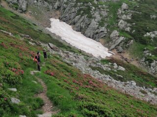 Sulla via del ritorno tra nevai e rododendri