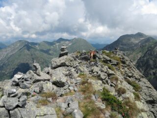 Zoe perlustra la cima