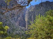 il canyon visto dall'avvicinamento