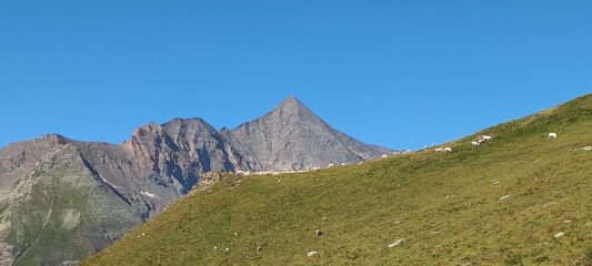 Da Pian Sulè verso il colle Spiol, sullo sfondo, imponente, il Rocciamelone