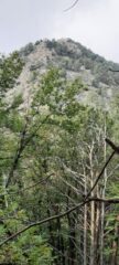 la cresta dal bosco con tanti alberi caduti