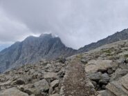 Mulattiera reale in vista del colle della Cadrega