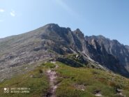 verso la cima, dopo il primo dosso erboso si nota la traccia di cresta