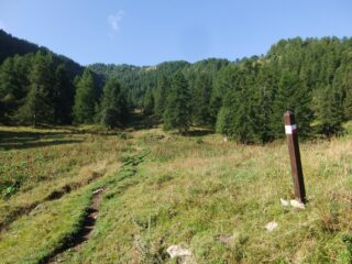 Prati sopra la Margheria Garlenda