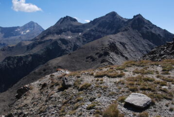 Dalla vetta, la cresta dal M. Creya: Tete Money, Pointe Coupèe, Pointe Pène Blanche, Tete de Vallonet, la depressione del Pas des Invergneux e la Tersiva