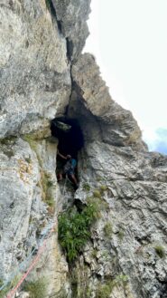 Vinto il cespuglio di ortiche, inizia la canna fumaria