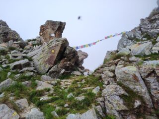 Arrivando al colle della Mologna Piccola, con la nebbia biellese che ci aspetta sul colle...