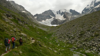 Verso la Chamanna Tscherva, sullo sfondo la cresta rocciosa verso il Pizzo Bianco