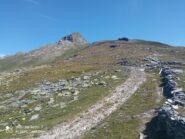 Wolfendorn visto dal Passo Vallaccia