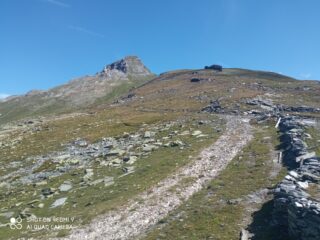 Wolfendorn visto dal Passo Vallaccia