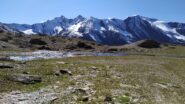 Al Pian del Vaudet con all'orizzonte belle cime innevate(la Grande Sassière è la prima a sinistra)