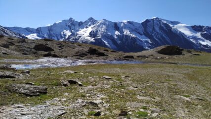 Al Pian del Vaudet con all'orizzonte belle cime innevate(la Grande Sassière è la prima a sinistra)