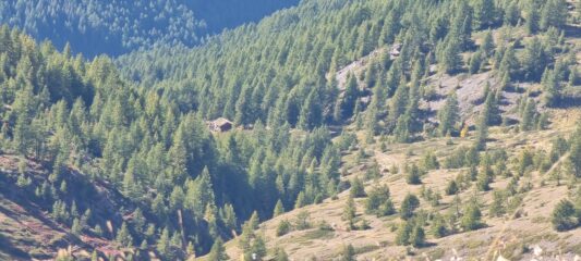 Il Bivacco Ugo Rattazzo in mezzo al bosco