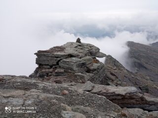 la cima 