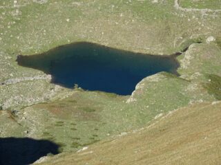 zoom sul laghetto di Lausetto