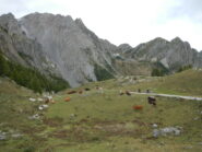 l'arrivo al Colle del Preit