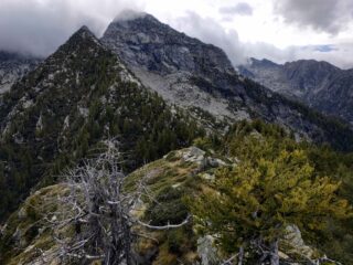 La dorsale dal colle, tra cespugli di ginepro e rododendri.