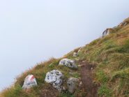 Panorama sul sentiero alto 