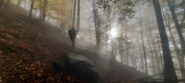 La nebbia si dissolve salendo nel bosco