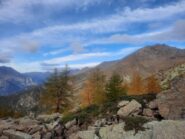 Foliage di montagna 