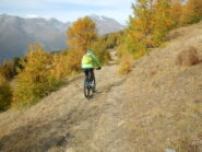 il rientro nei colori del Gran Bosco