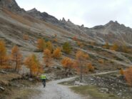 sterrato agevole verso gli Chalets de l'Orciére